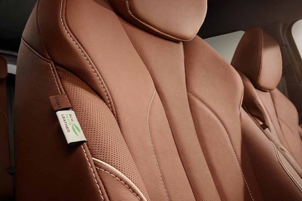 Skoda leather interior